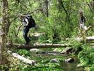 photo thumbnail #5