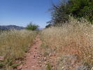 photo thumbnail #10