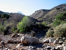 photo thumbnail #5