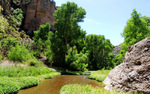 photo thumbnail #3