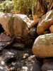 photo thumbnail #12