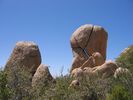 photo thumbnail #2