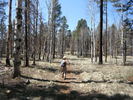 photo thumbnail #6
