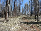 photo thumbnail #8