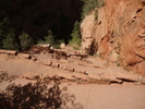 photo thumbnail #15