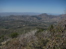 photo thumbnail #8