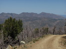 photo thumbnail #10