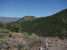 photo thumbnail #14