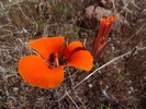 photo thumbnail #7