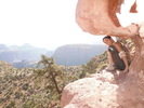 photo thumbnail #3