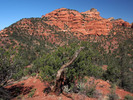 photo thumbnail #4