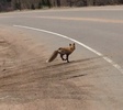 photo thumbnail #1