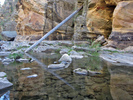 photo thumbnail #6