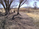 photo thumbnail #11