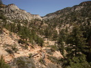 photo thumbnail #7
