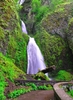 photo thumbnail #2