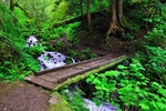 photo thumbnail #3