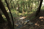 photo thumbnail #4