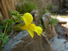 photo thumbnail #14
