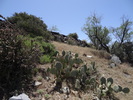 photo thumbnail #6