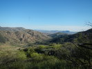 photo thumbnail #8