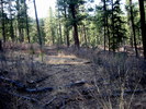 photo thumbnail #7