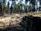 photo thumbnail #9