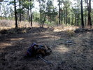 photo thumbnail #11