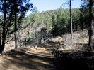 photo thumbnail #12