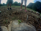 photo thumbnail #1