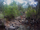 photo thumbnail #5
