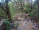 photo thumbnail #6