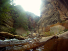 photo thumbnail #7