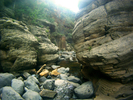 photo thumbnail #10
