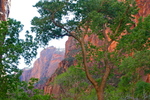 photo thumbnail #8