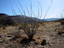 photo thumbnail #6