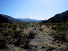 photo thumbnail #7
