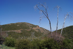 photo thumbnail #8