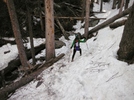 photo thumbnail #7