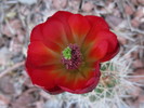photo thumbnail #5