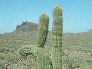 photo thumbnail #10