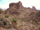 photo thumbnail #5