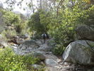 photo thumbnail #7