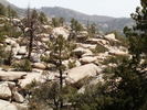 photo thumbnail #11
