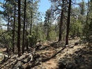 photo thumbnail #13