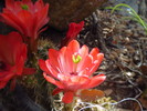 photo thumbnail #7