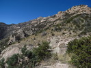 photo thumbnail #9