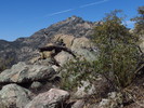 photo thumbnail #12