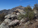 photo thumbnail #13