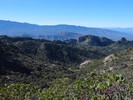 photo thumbnail #2